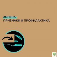 ПРОФИЛАКТИКА ХОЛЕРЫ